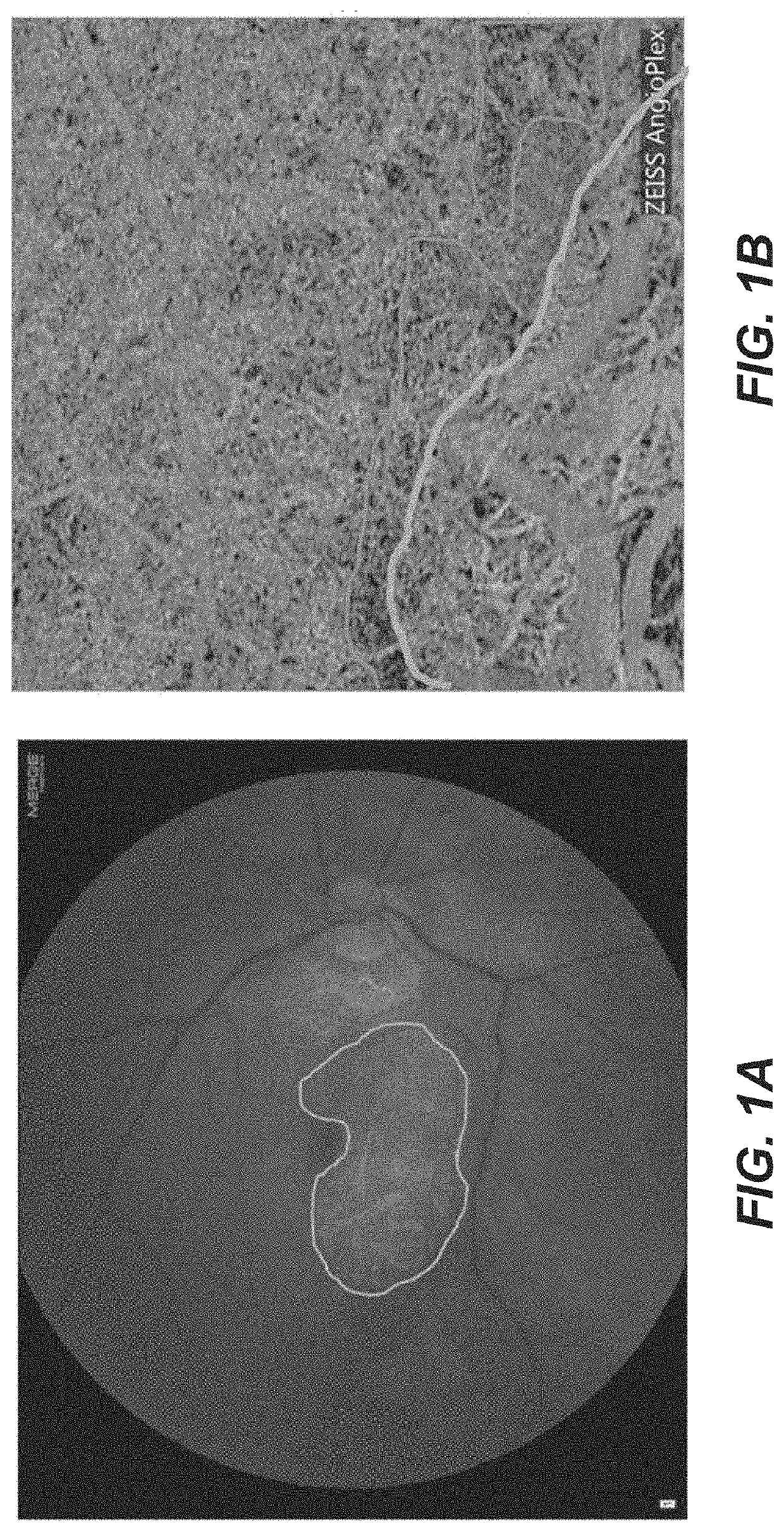 Non-leaking or minimally-leaking choroidal or retinal revascularization