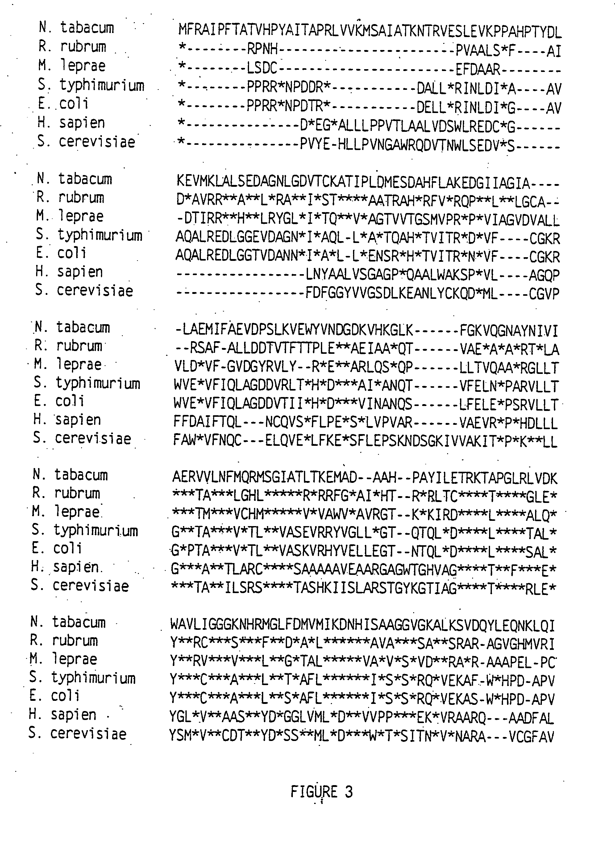 Methods and compositions for protein production in tobacco plants with reduced nicotine