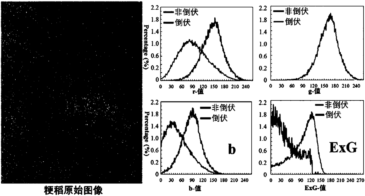 Rice lodging monitoring method using thermal infrared image