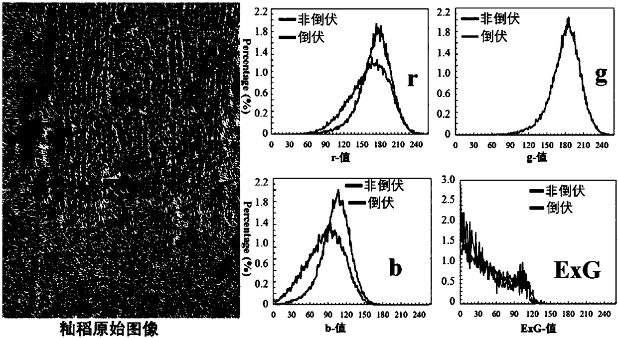 Rice lodging monitoring method using thermal infrared image