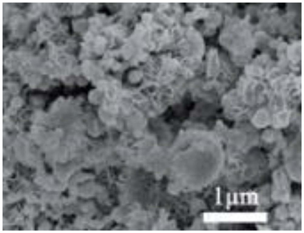 Application of triazine-carbazole polymer in organic electrode material