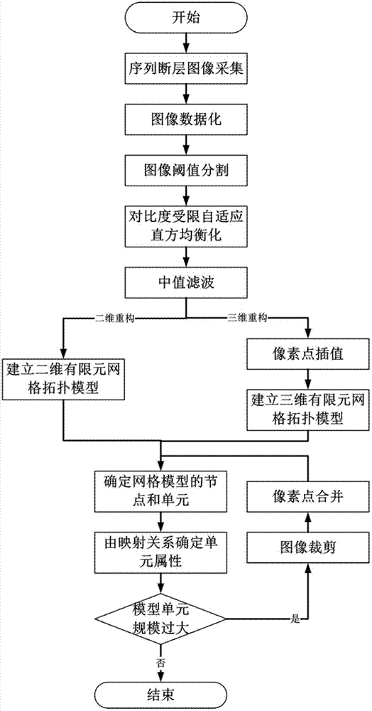 Method for accurately reconstructing dissimilar material microcosmic finite element grid model on basis of CT (computed tomography) images