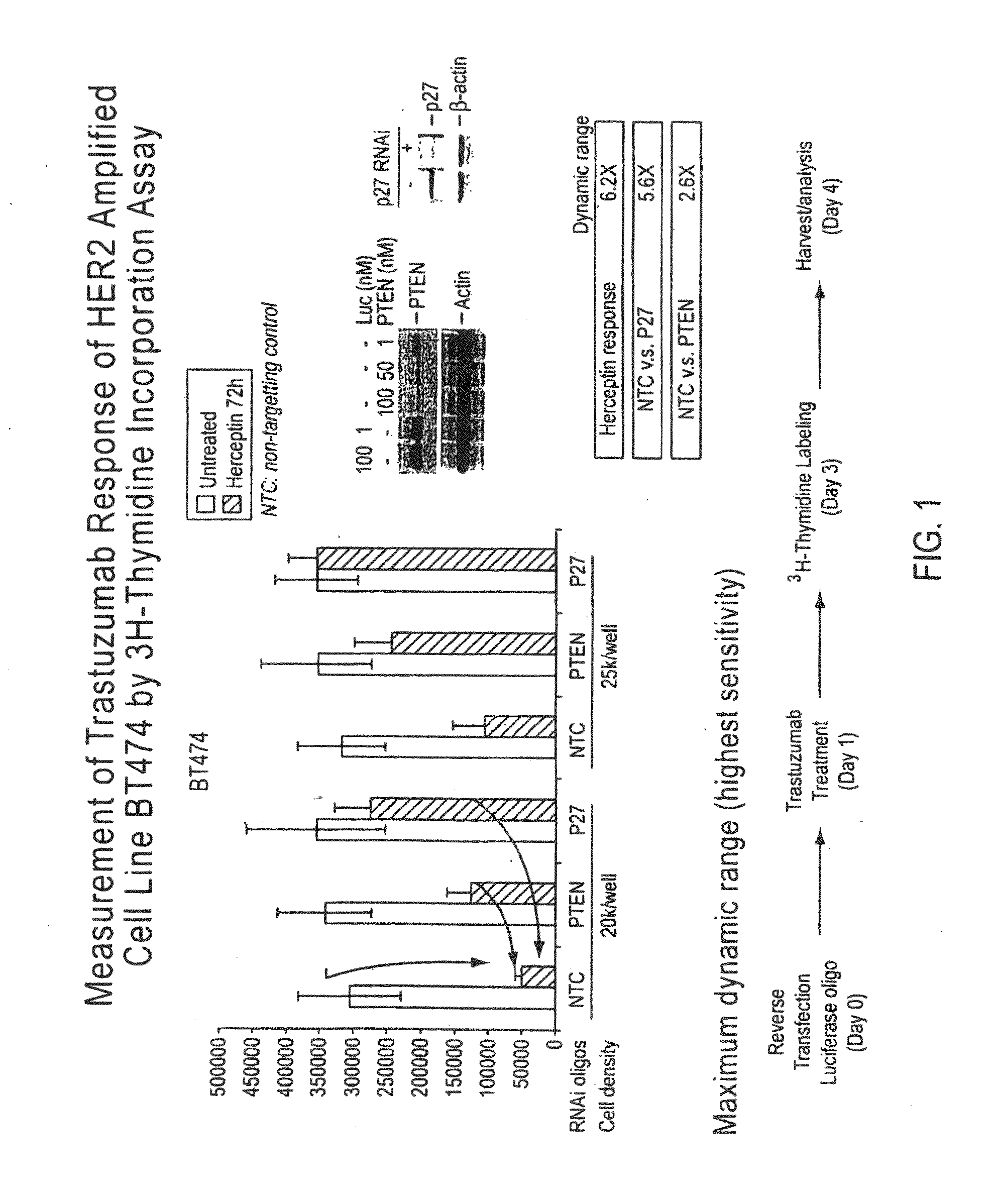 Gene expression markers of tumor resistance to HER2 inhibitor treatment