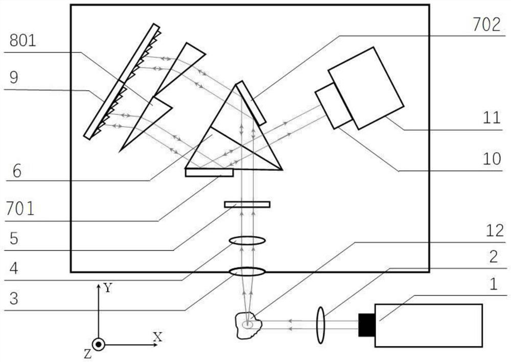 Spatial heterodyne Raman spectrometer