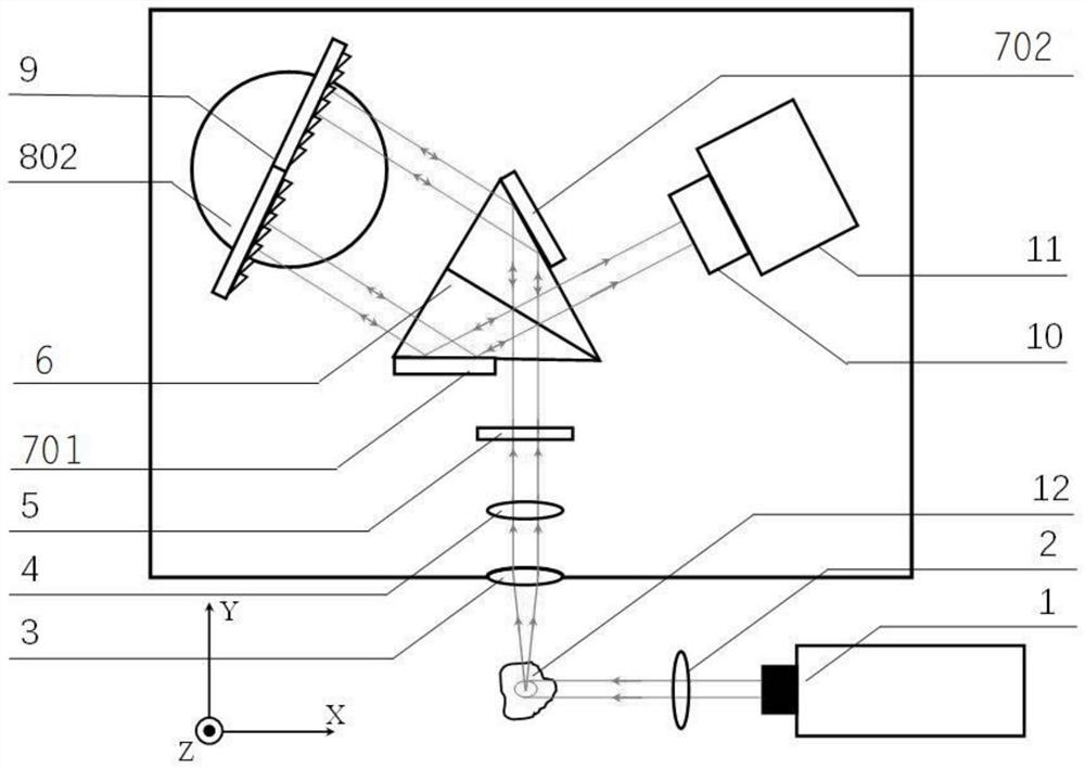 Spatial heterodyne Raman spectrometer