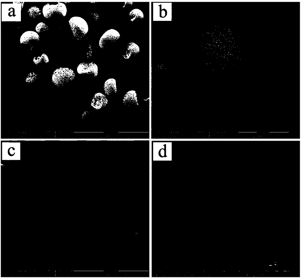 Antioxidation/heat insulation integrated composite coating, polyimide composite coated with composite coating and preparation method of polyimide composite