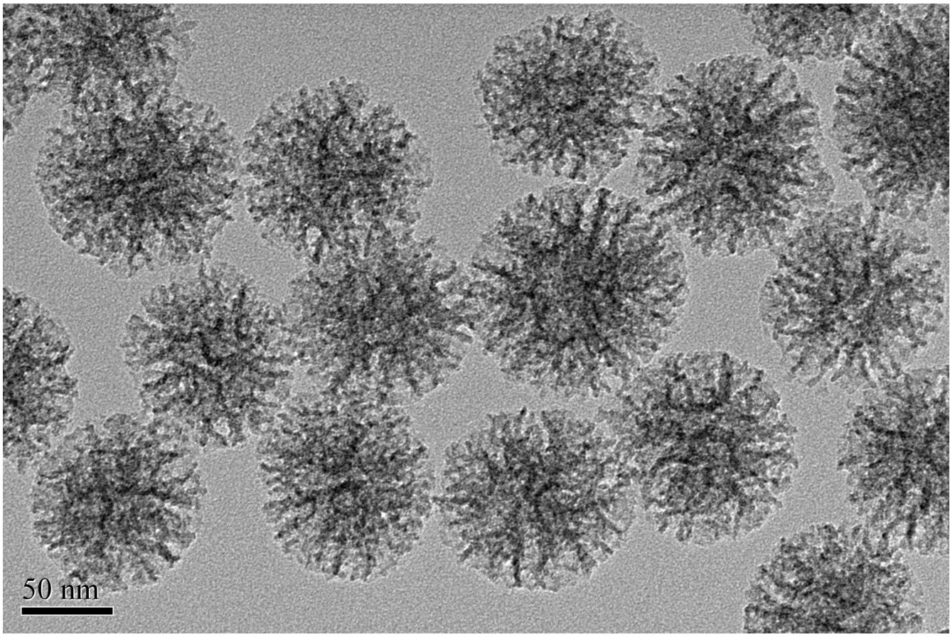 Preparation method of metal ion dosed monodisperse mesoporous silicon dioxide spherical nanoparticles