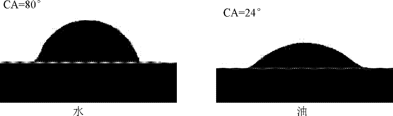 Hydrophobic olephobic epoxy paint and its preparation and application method