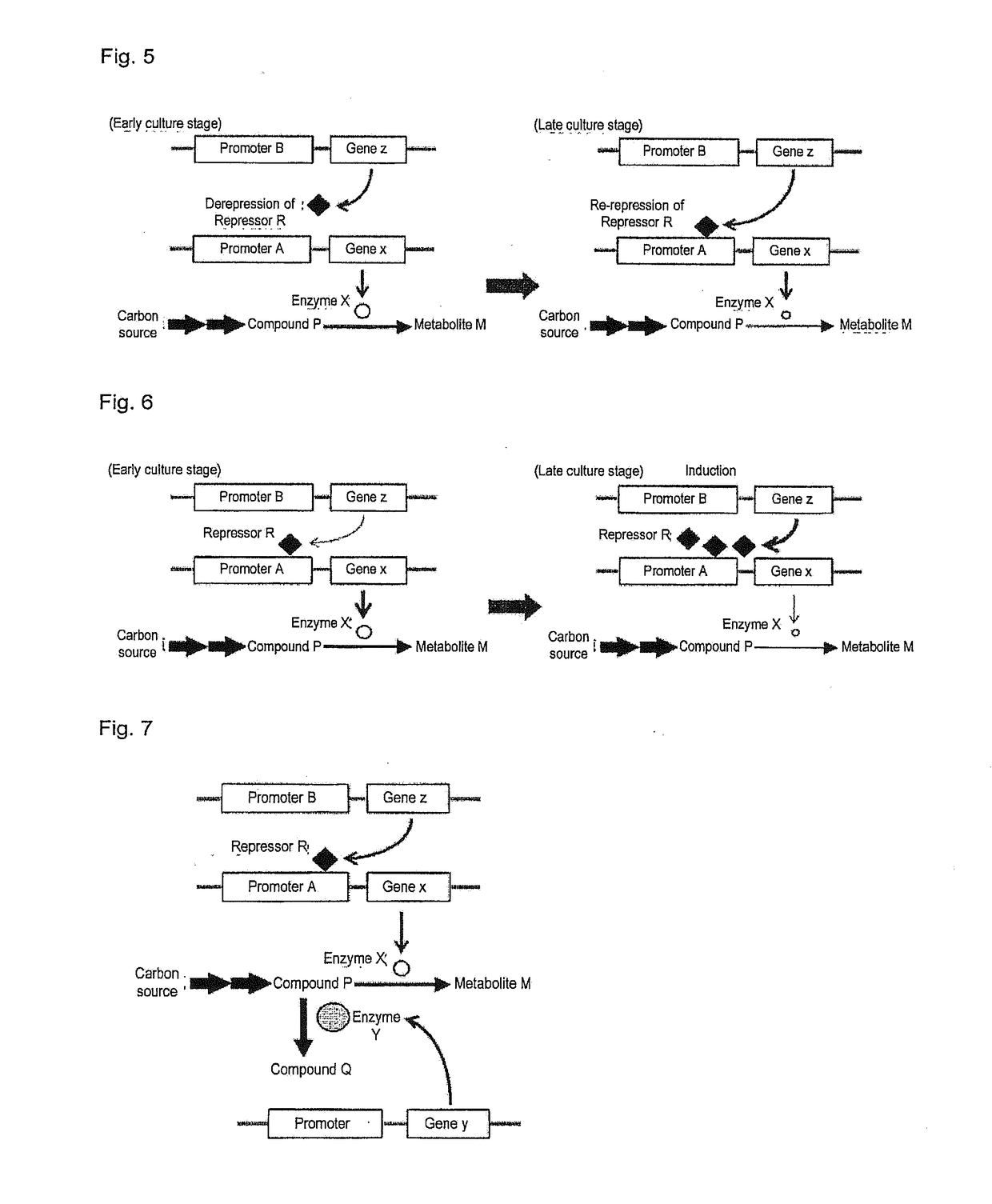Useful Microorganism and Method for Producing Substance of Interest