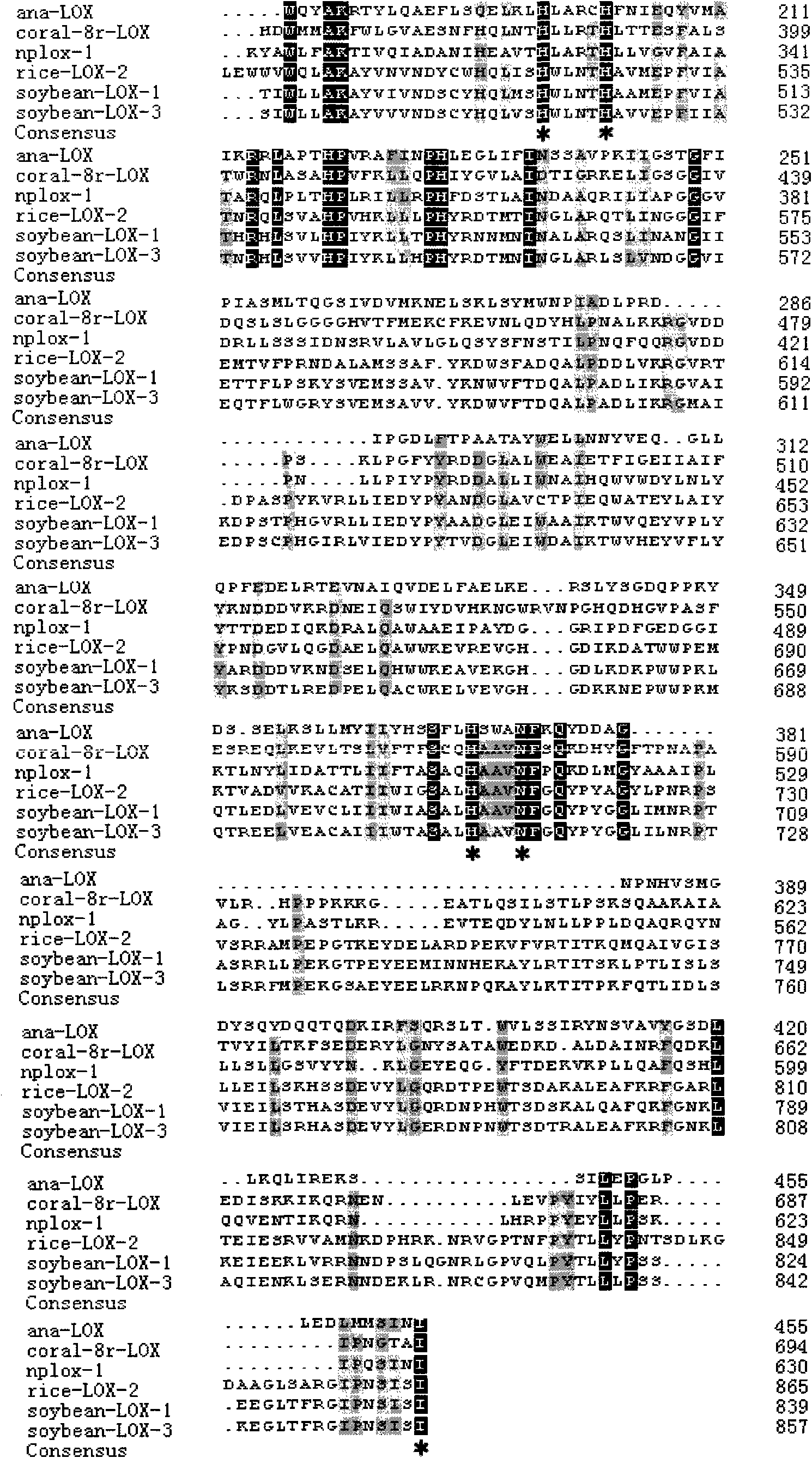 Anabaena PCC7120 fat oxygenase gene