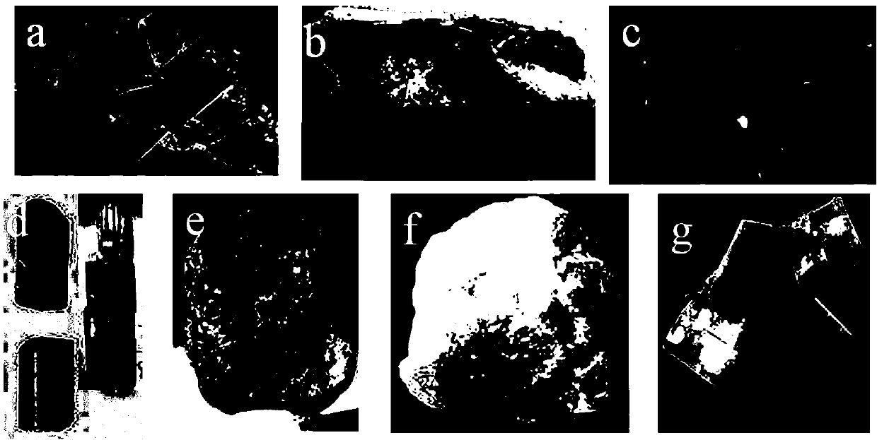 Rock mineral abrasion degree accurate detection method - Eureka ...