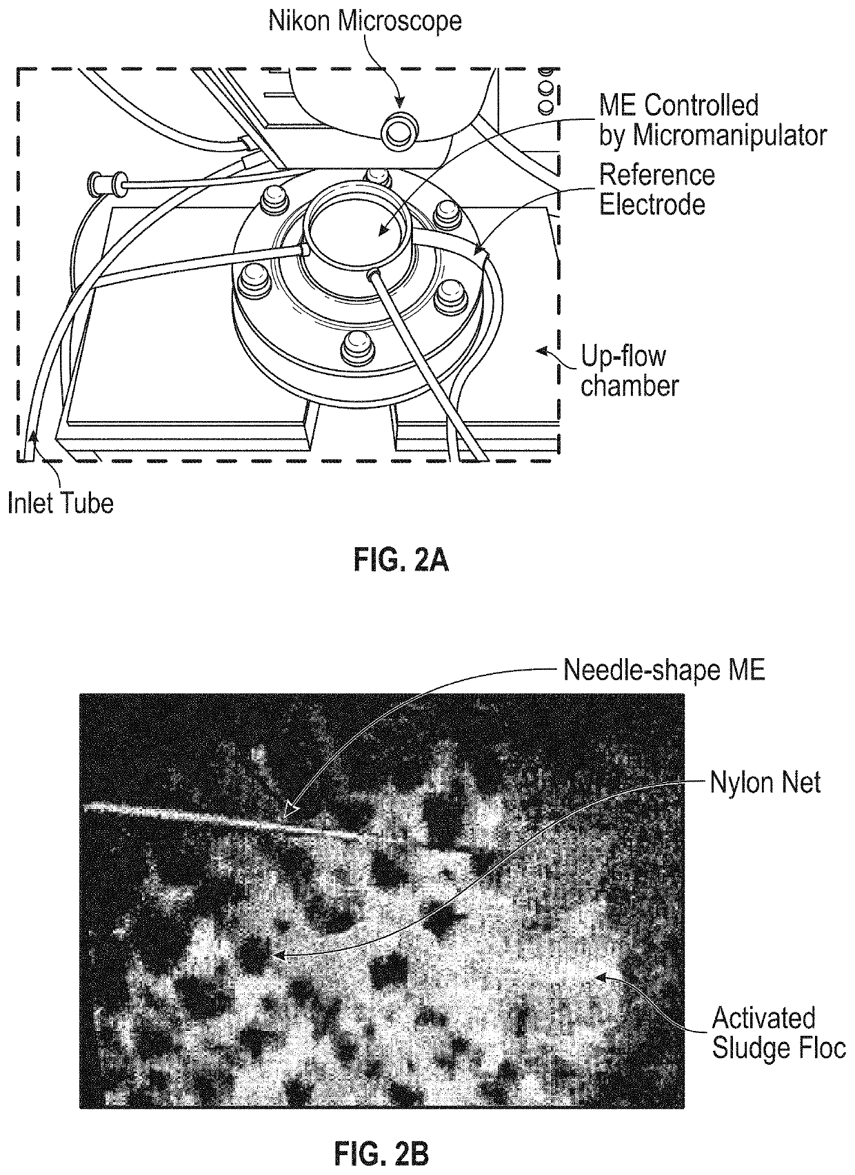 Real-time in situ sensing of water-related parameters using micro-electrode array