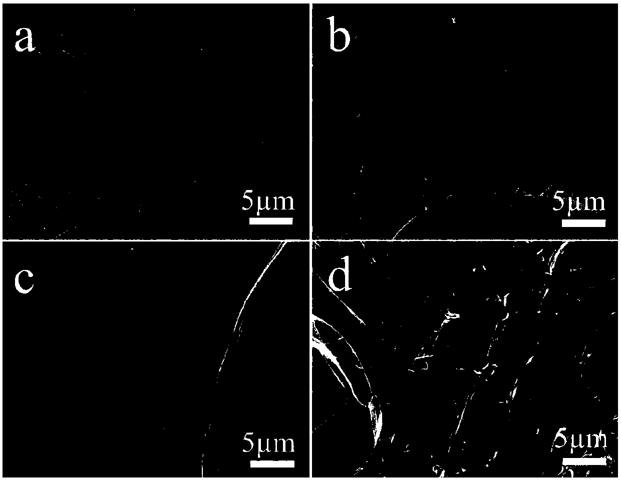 Polycarbonate/silver composite surface-enhanced Raman substrate and preparation method