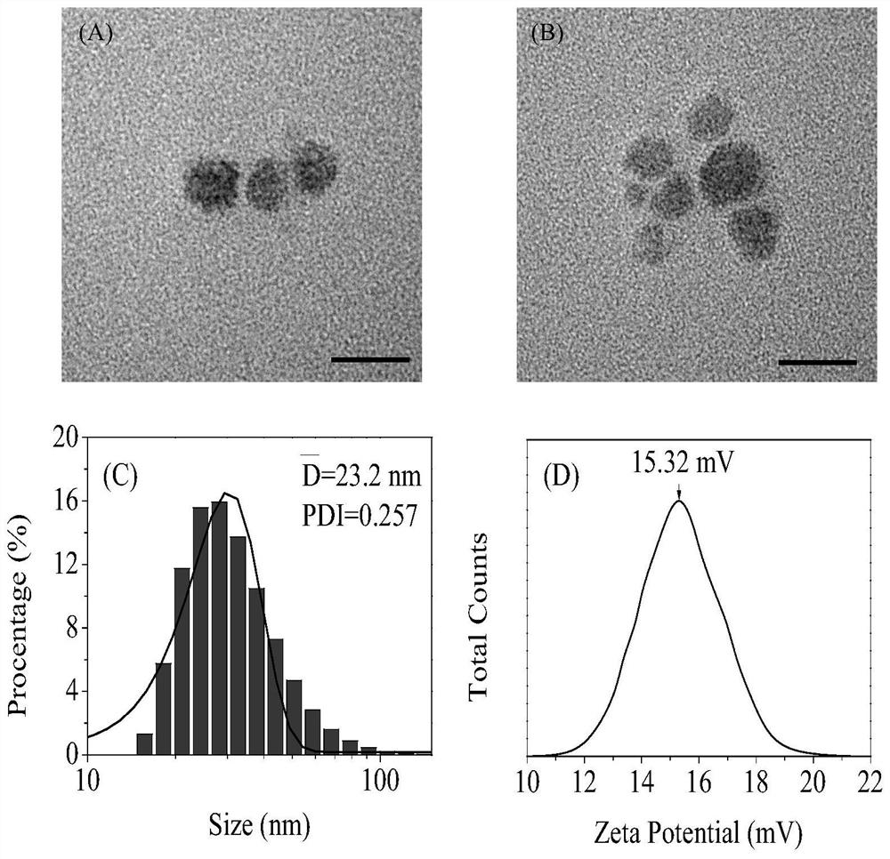 A kind of green fluorescent quantum dot and its preparation method and copper ion detection application