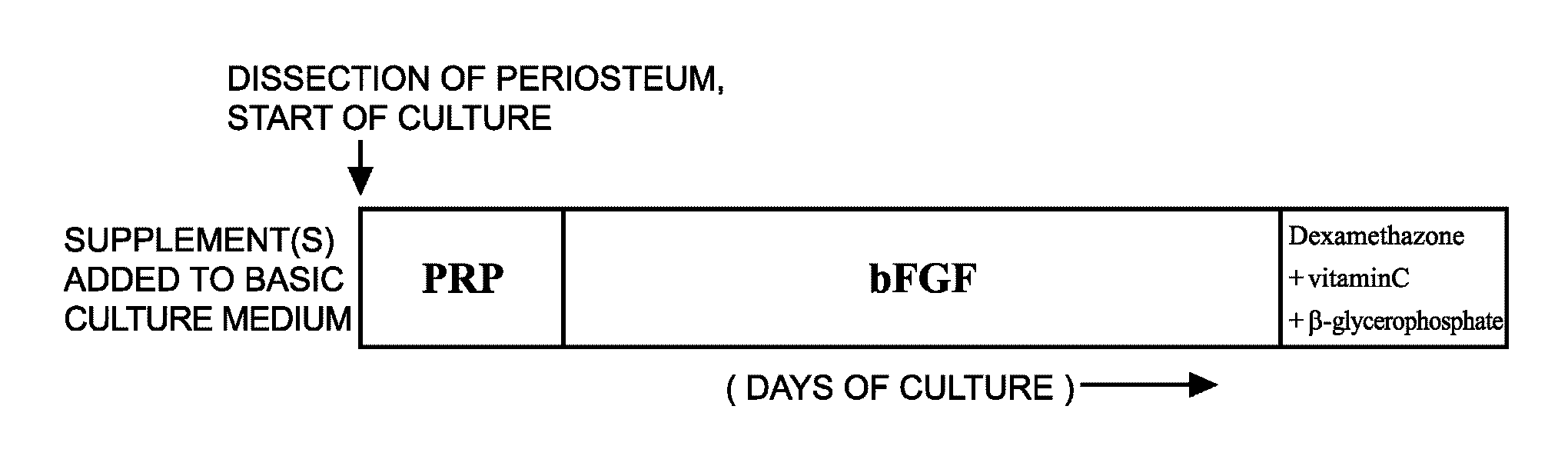 Method for culturing human periosteum