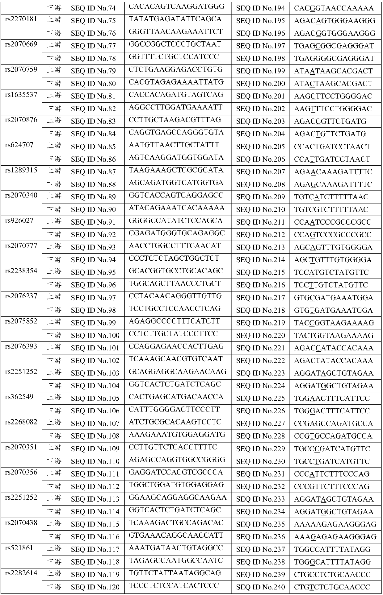 Application of snp site and its detection kit