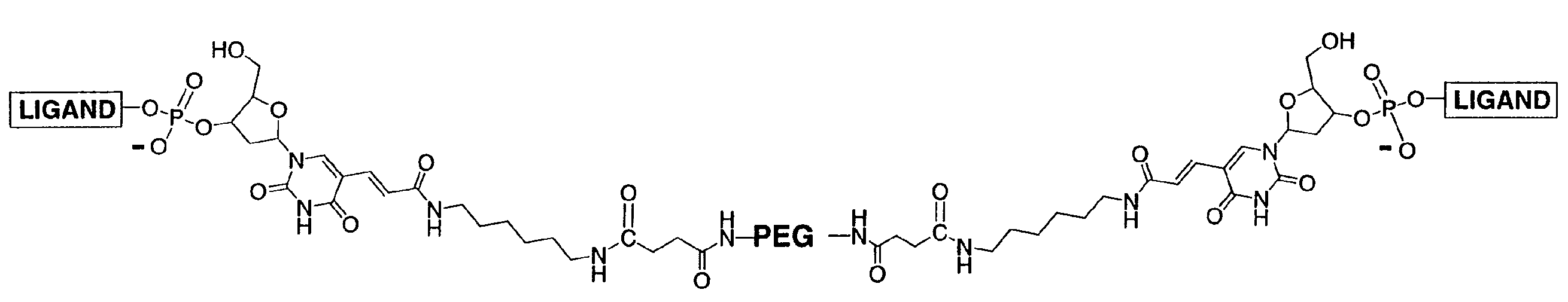 High Affinity Nucleic Acid Ligands To Lectins