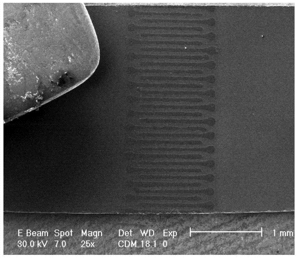 Method for manufacturing magnesium diboride superconducting thin film micro-structure through annealing