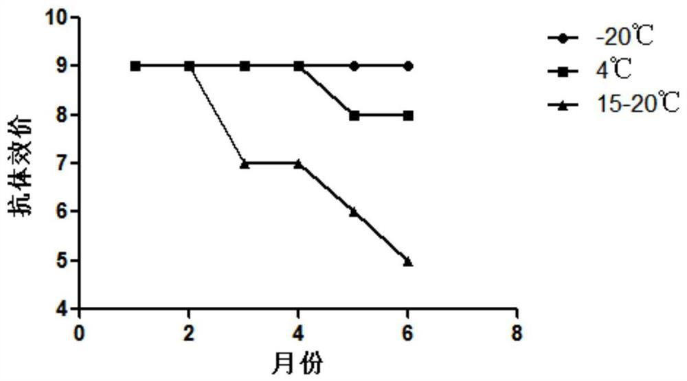 Triple yolk antibody freeze-dried powder as well as preparation method and application thereof