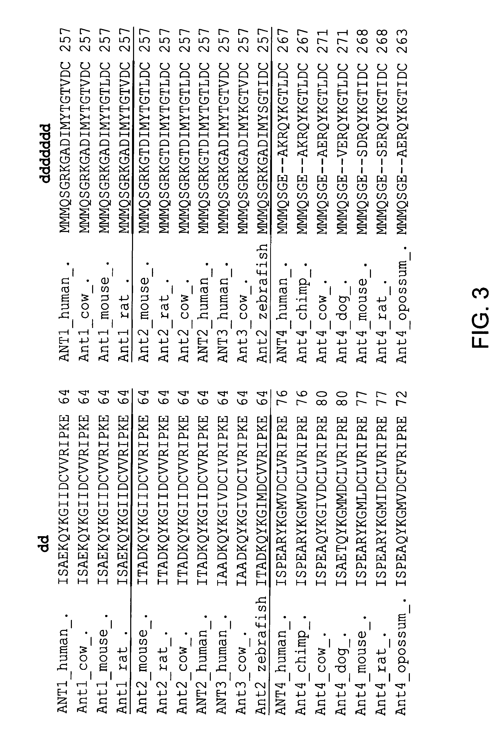 Ant4 inhibitor compounds and methods of use thereof