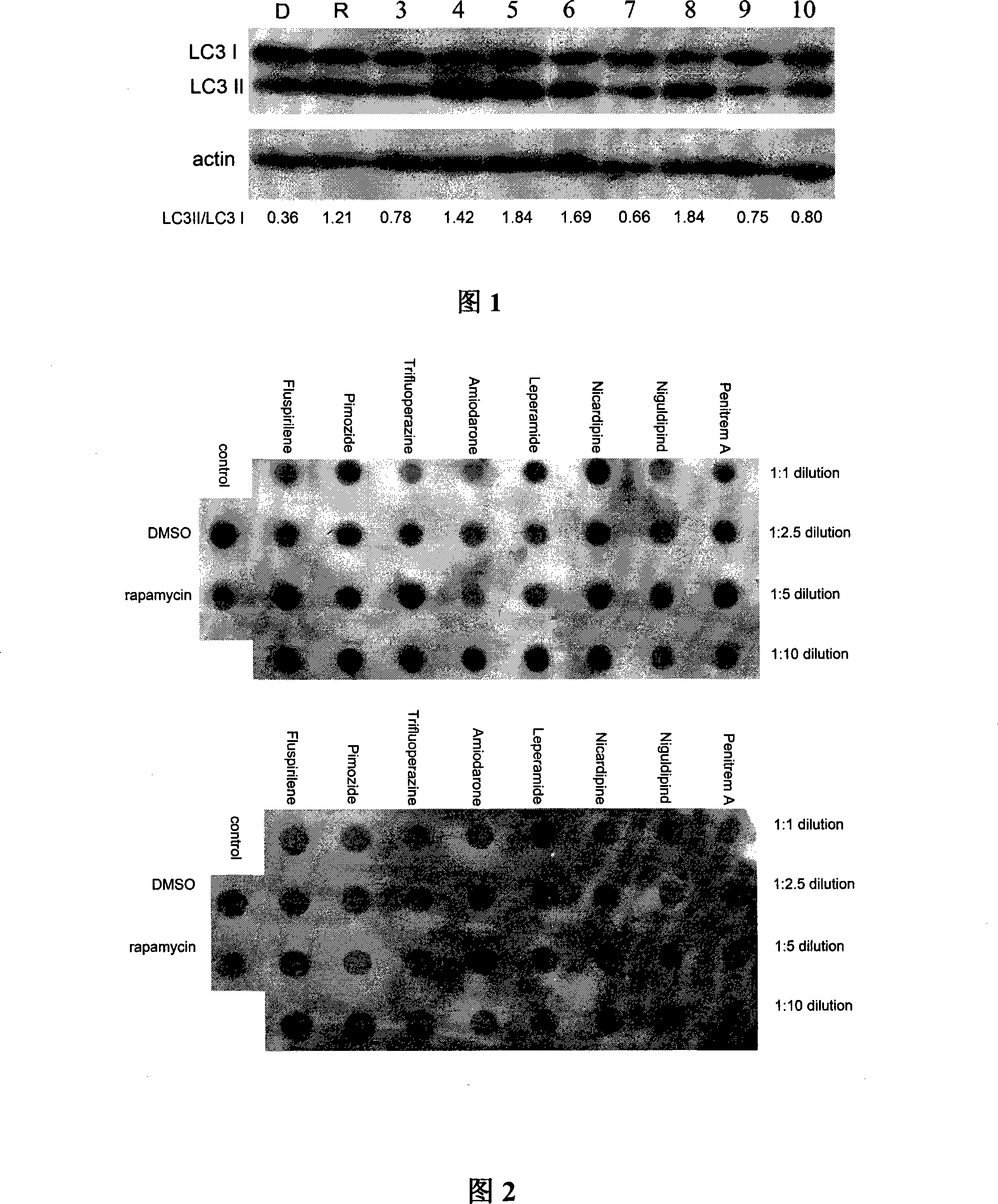 Medicine for inducing autophagy and treating disease caused by wrong unfolded protein aggregation, and filtration method thereof