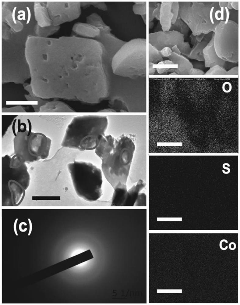 SxCoOOH electrocatalyst, preparation method and application thereof