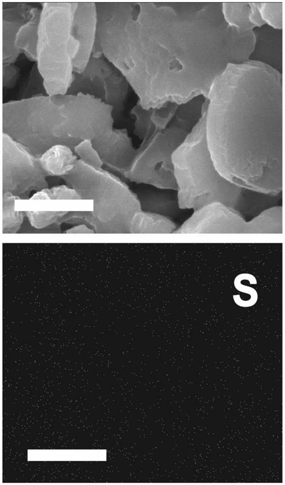 SxCoOOH electrocatalyst, preparation method and application thereof