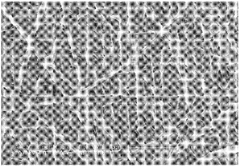 Drug sustained-release system for treating tumours and preparation method thereof