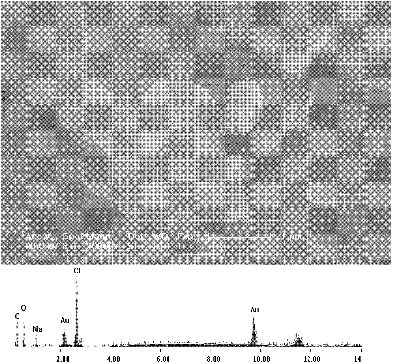 Drug sustained-release system for treating tumours and preparation method thereof