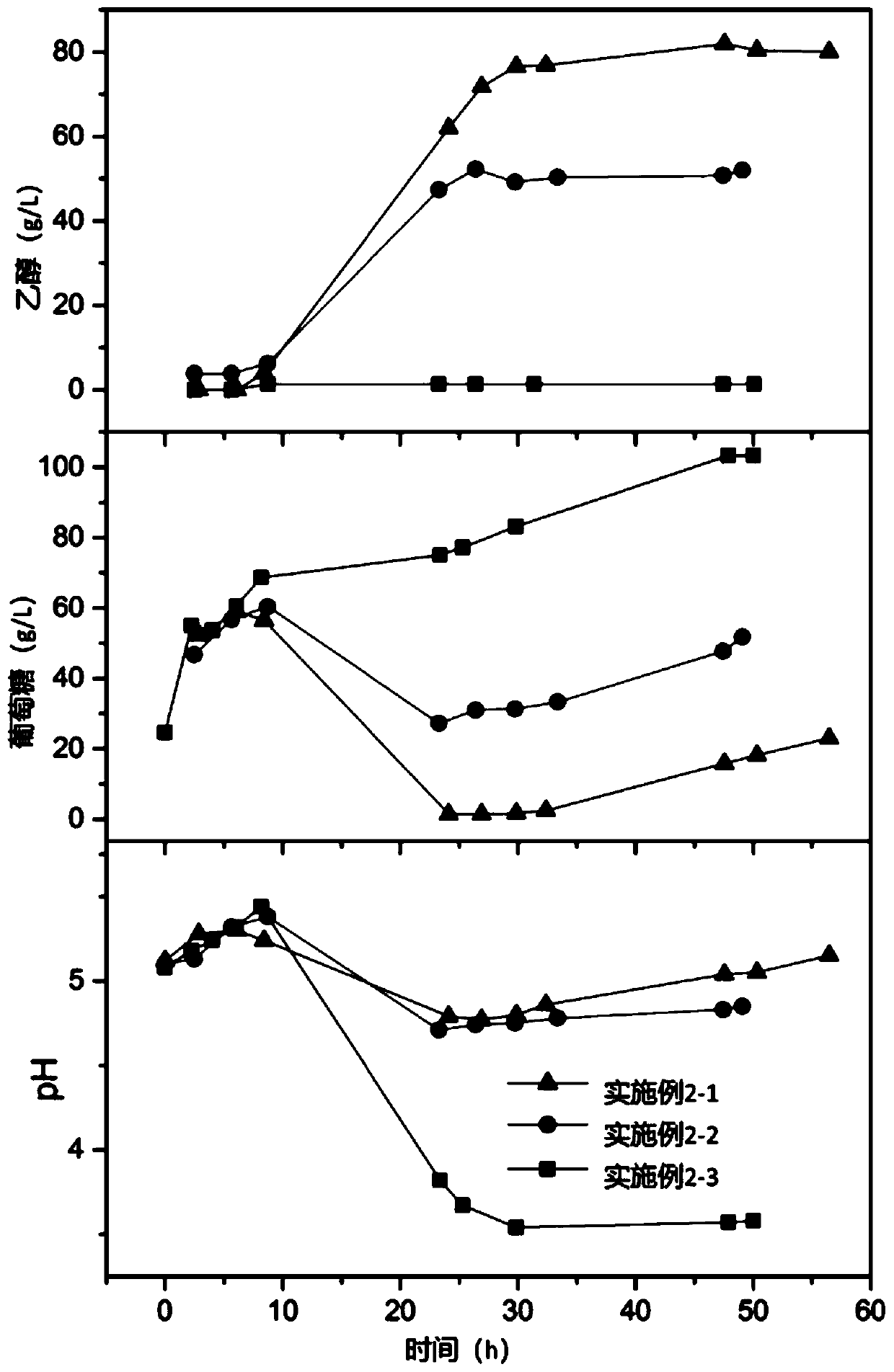 Method for producing ethanol by fermentation of starch raw materials