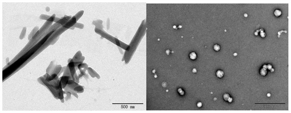 Preparation method and application of hyaluronic acid-small molecule self-assembled nano-drug
