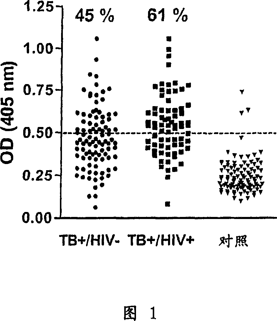 Tuberculosis vaccines comprising antigens expressed during the latent infection phase