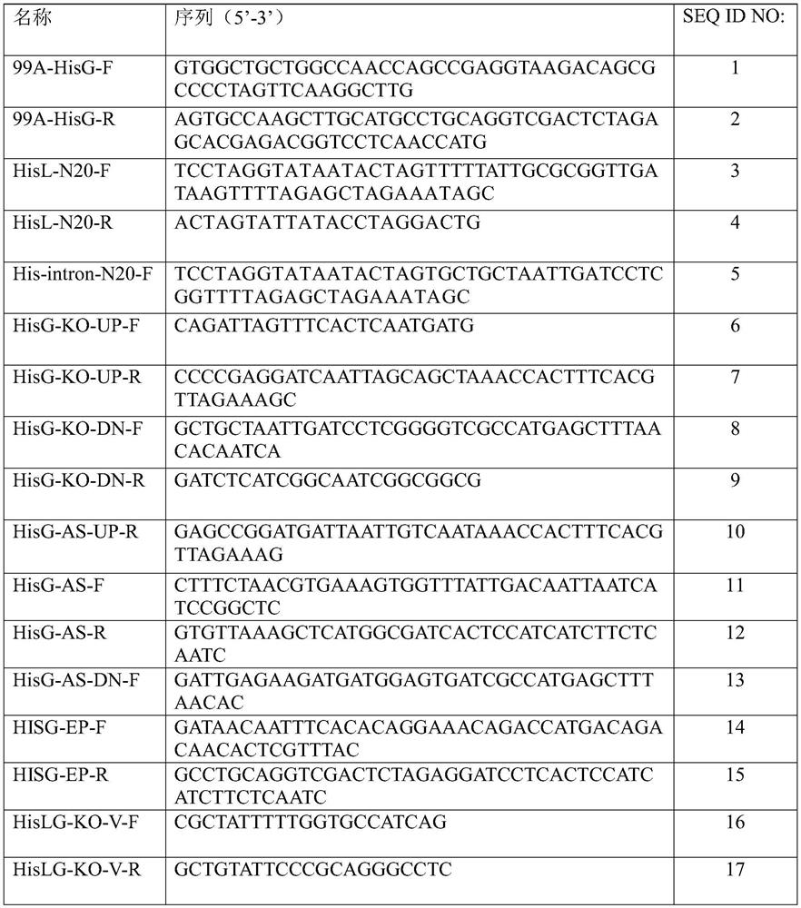 Method for improving production capacity of L-histidine producing bacteria