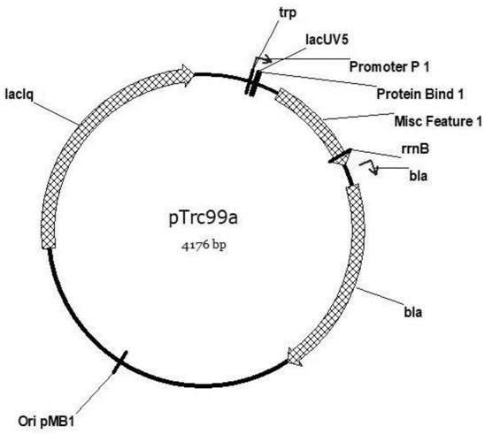 Method for improving production capacity of L-histidine producing bacteria