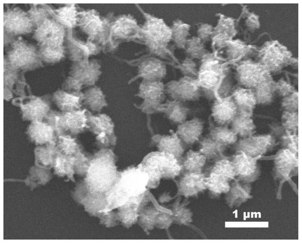 Calabash string-shaped CuO/CNT composite catalyst and preparation method thereof