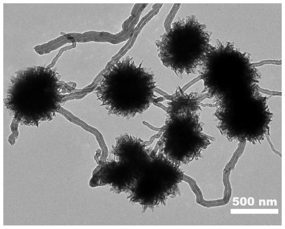 Calabash string-shaped CuO/CNT composite catalyst and preparation method thereof