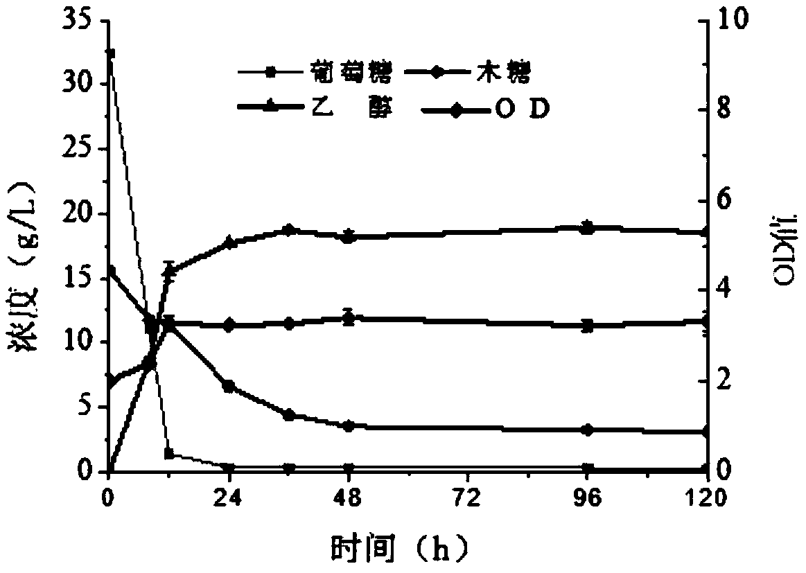 Pretreatment method and fermentation process of mixed lignocellulose
