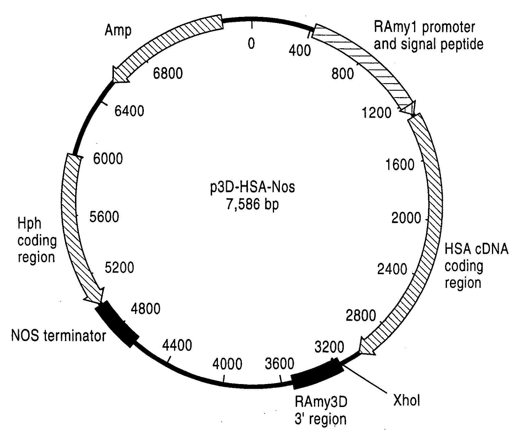 Human Blood Proteins Expressed in Monocot Seeds