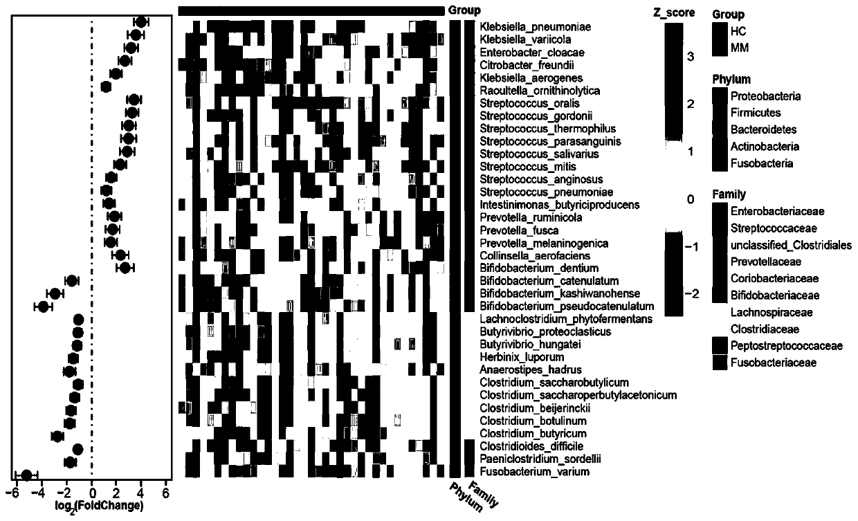 Intestinal microorganism markers for multiple myeloma, application and detection preparation of intestinal microorganism markers