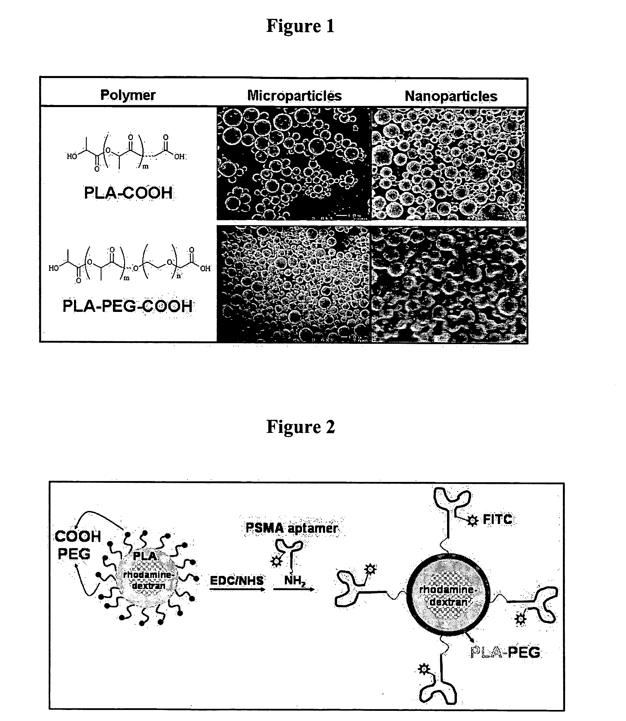 Targeted delivery of controlled release polymer systems