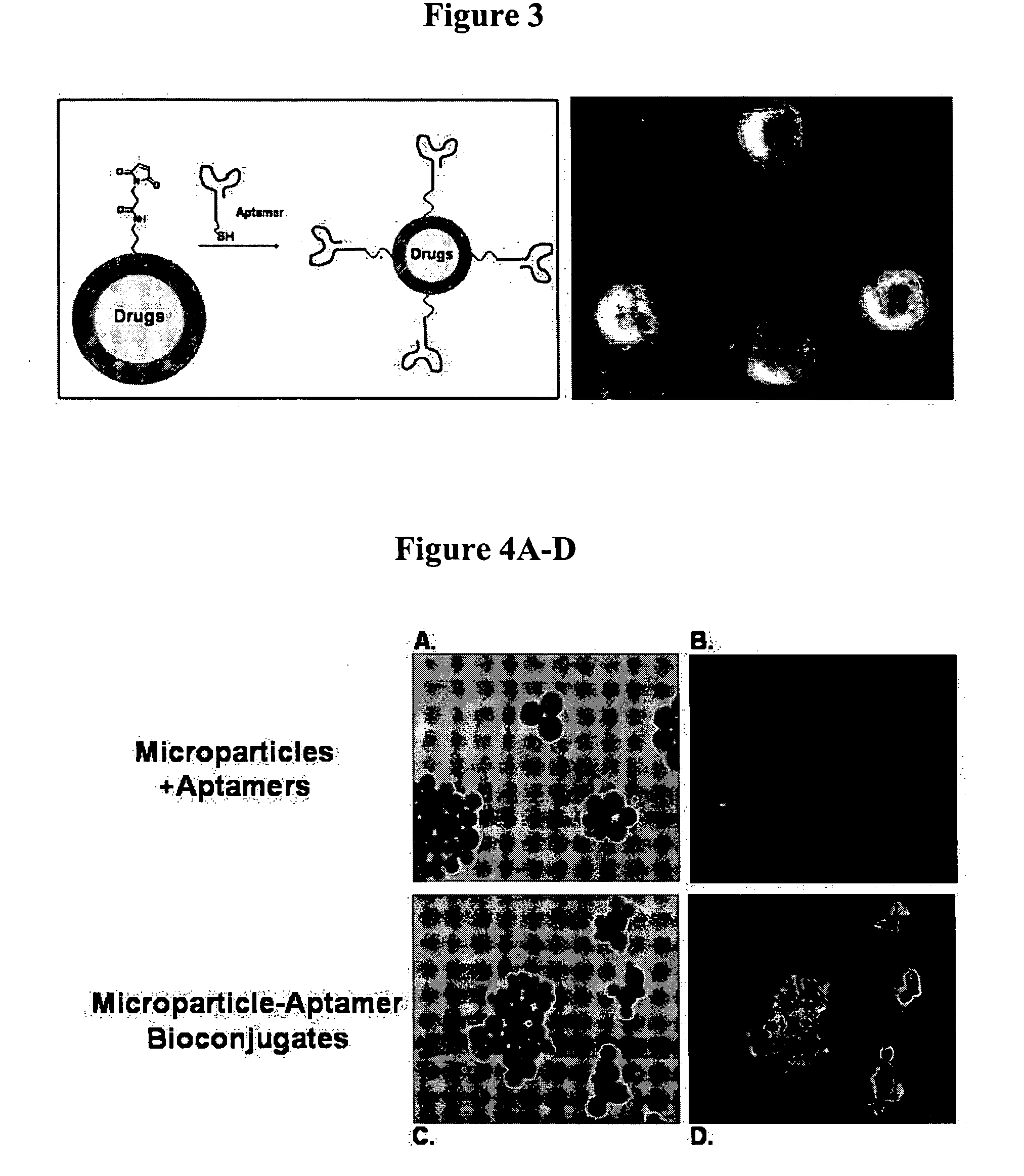 Targeted delivery of controlled release polymer systems