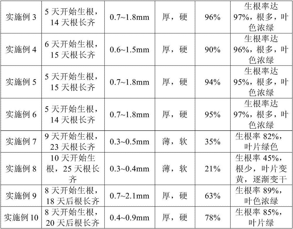 MD2 pineapple rooting culture medium and tissue culture seedling rapid propagation method thereof