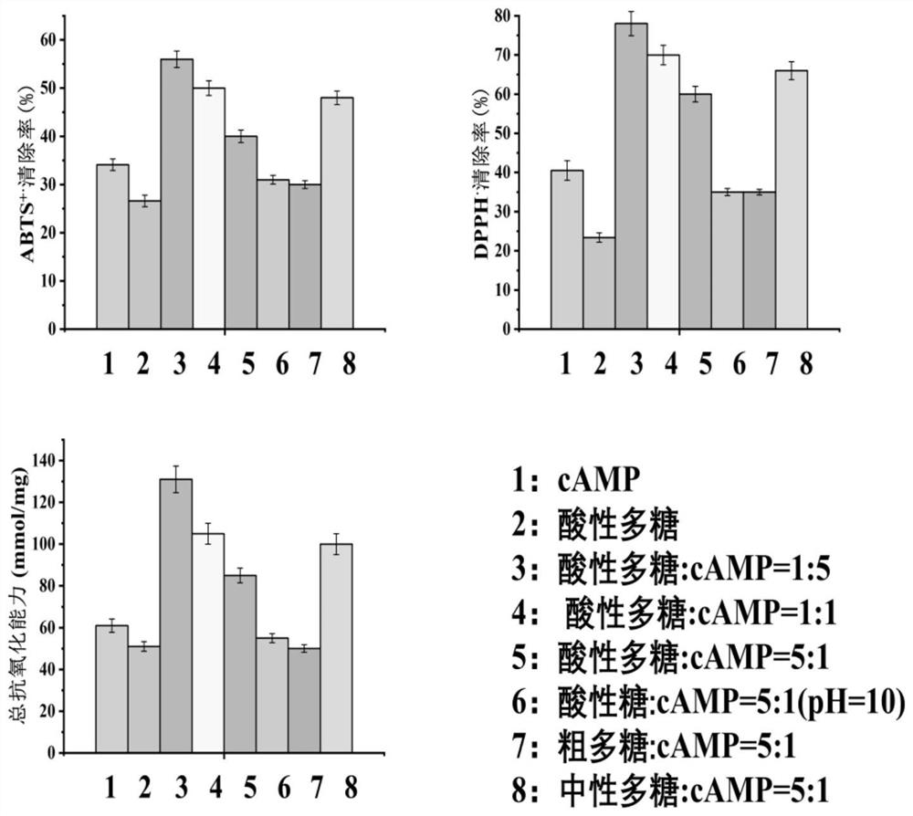 Cyclic adenosine monophosphate-jujube acidic polysaccharide compound as well as preparation method and application thereof