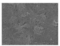 Preparation method of ceramic microfiltration membrane by using attapulgite nano fibers as separating layer