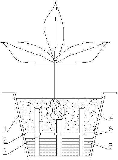 A device capable of automatically replenishing water and a potted plant container