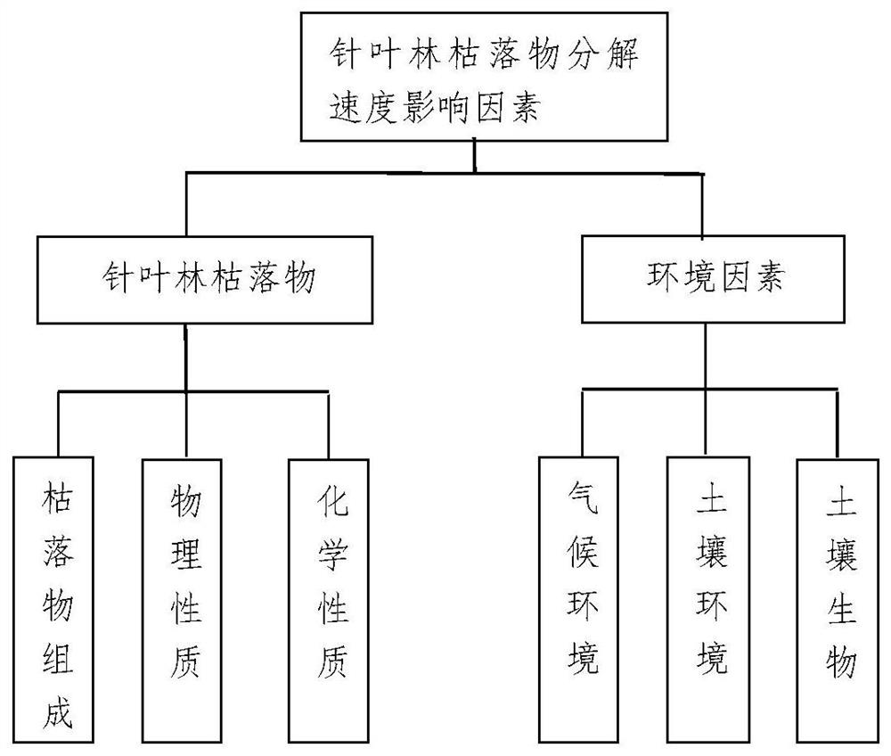 Decomposition method of boreal forest litter to improve ecological service function