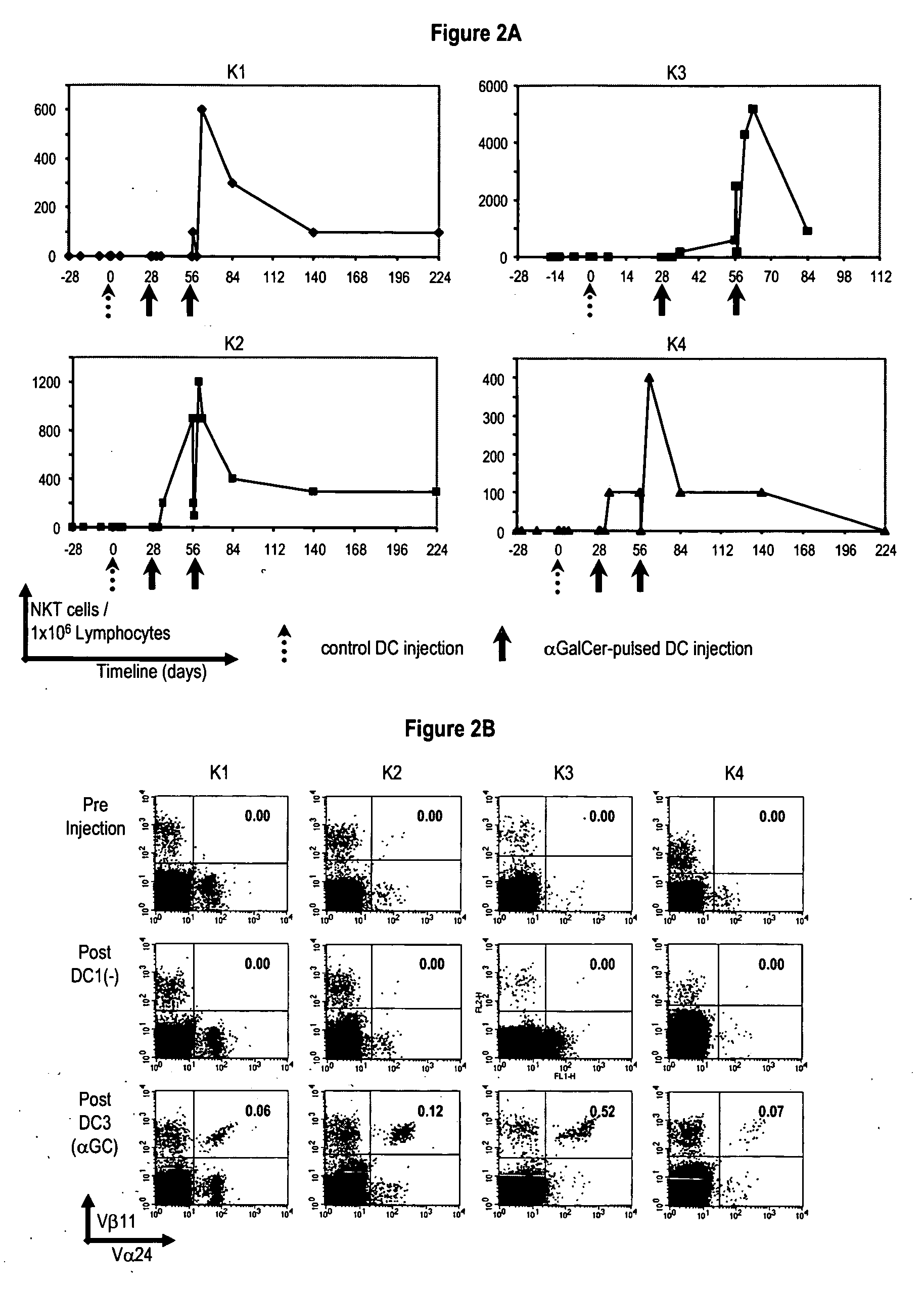 In vivo expanded NKT cells and methods of use thereof
