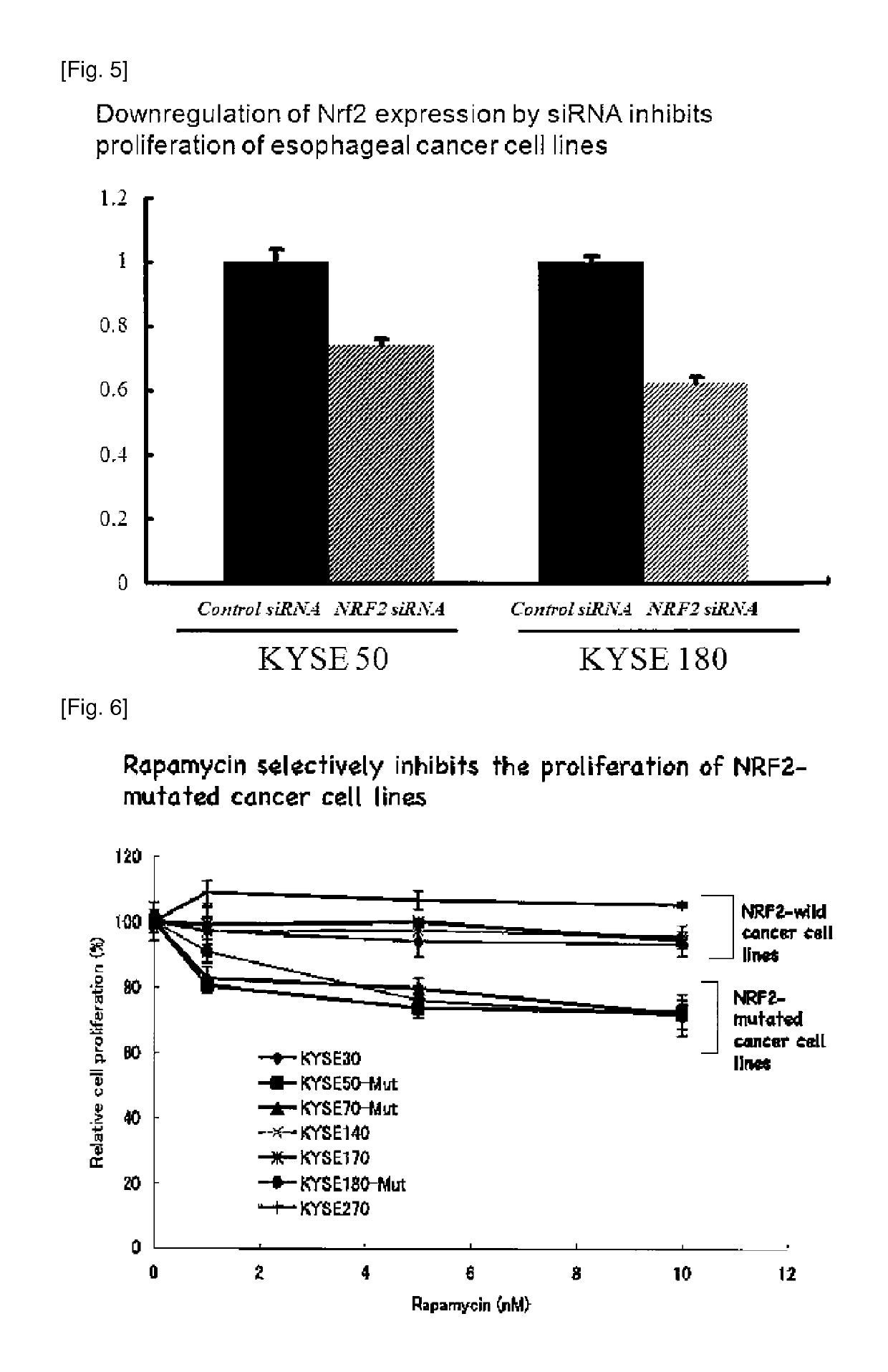 Oncogene NRF2