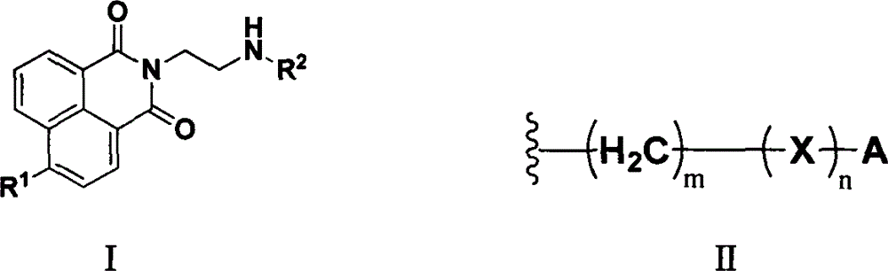 Naphthylamine derivative and purpose thereof
