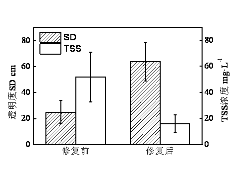 Method and apparatus for improving transparency of water body